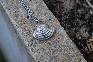Beach Comber Cockle Shell Necklace