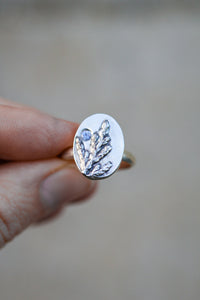 Cedar Sprig Ring with Sapphire- Size 7