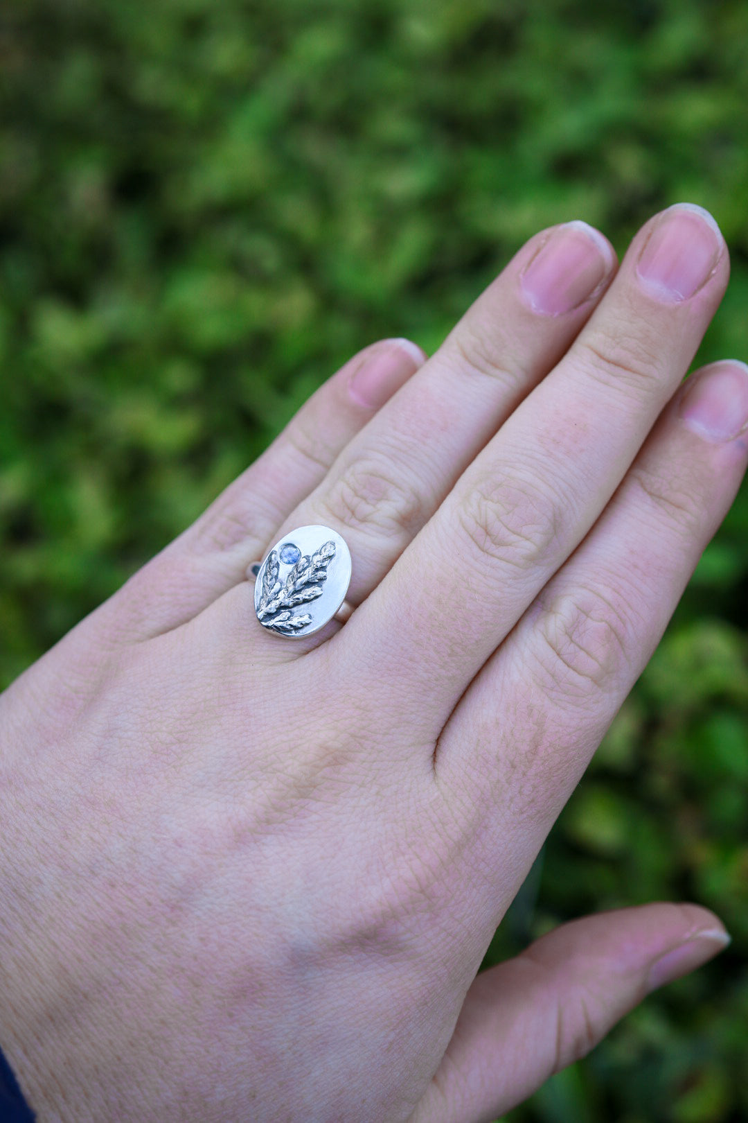 Cedar Sprig Ring with Sapphire- Size 7