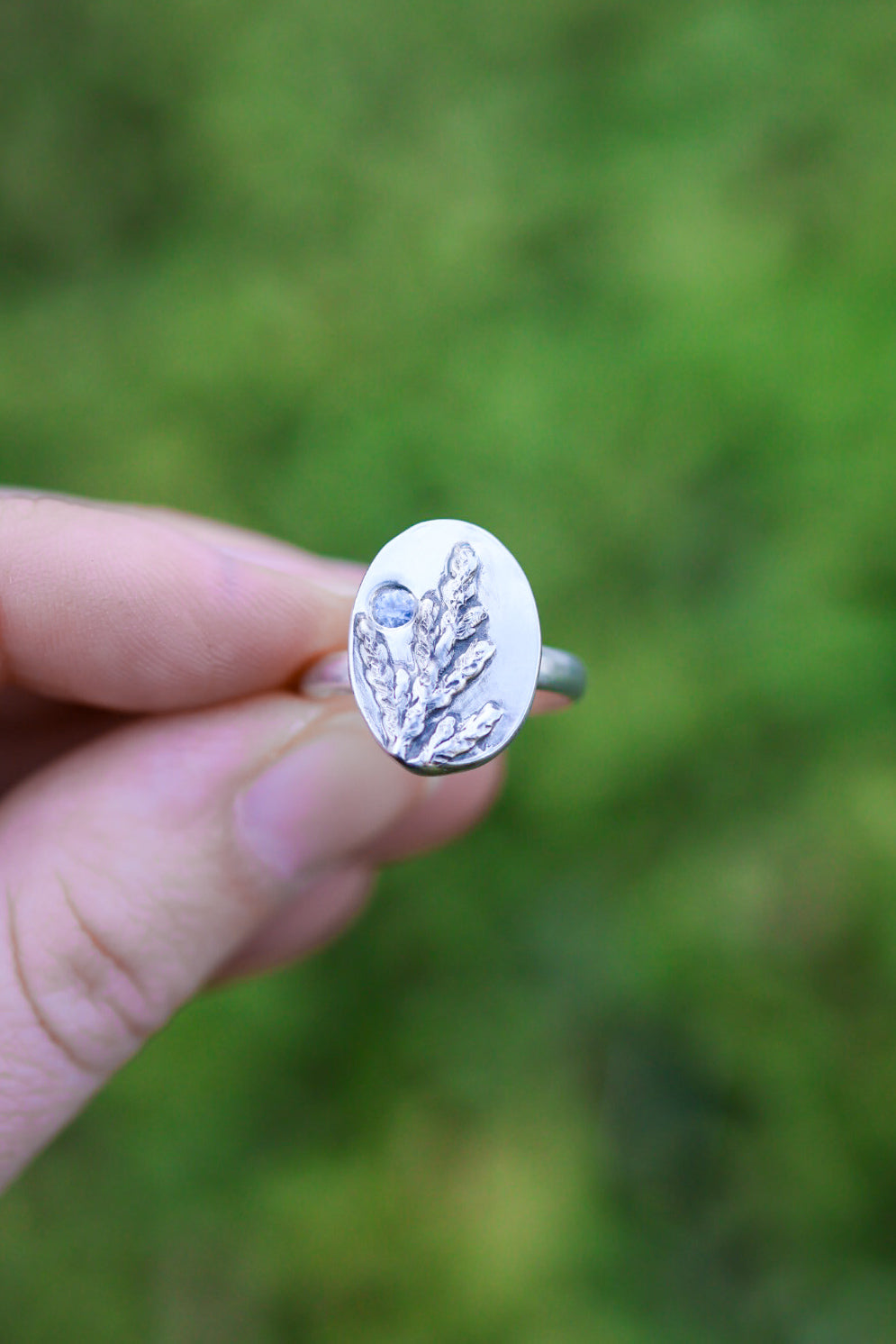 Cedar Sprig Ring with Sapphire- Size 7