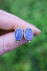 Tanzanite Stud Earrings